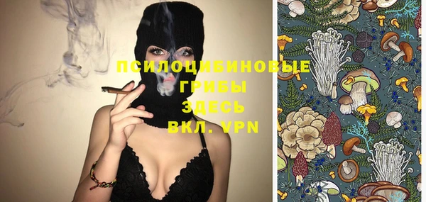 кристаллы Няндома