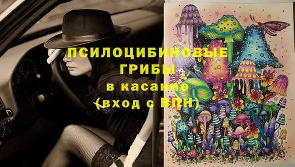 ECSTASY Остров